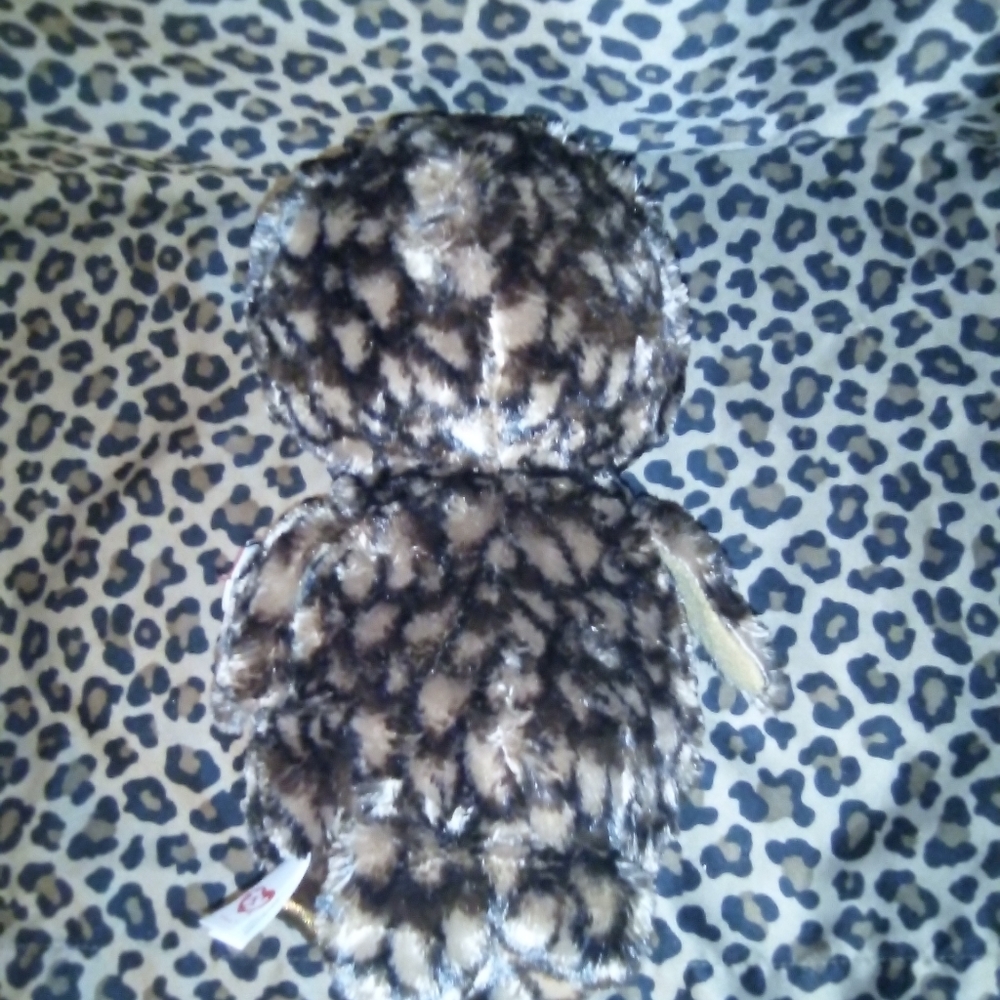 🦉TY 10" Owl 'Sammy' 🦉 - Picture 3 of 4